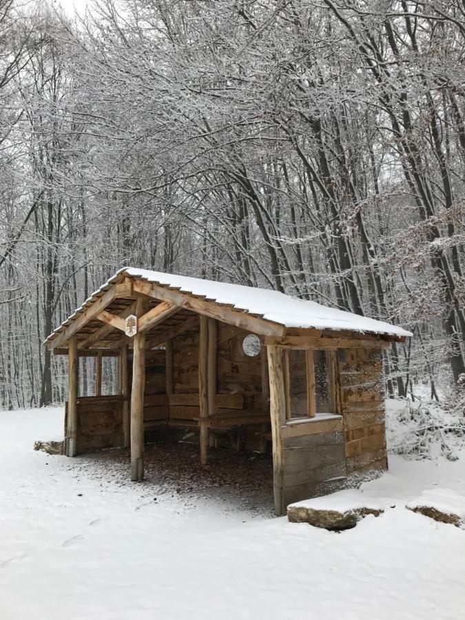 Ferienwohnung Auszeit Am Kurpark Bad Berka - Balkon - Ruhige Lage- Gratis Parkplatz & Wlan Zewnętrze zdjęcie
