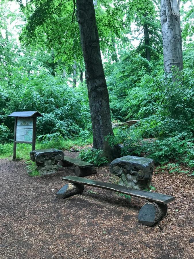 Ferienwohnung Auszeit Am Kurpark Bad Berka - Balkon - Ruhige Lage- Gratis Parkplatz & Wlan Zewnętrze zdjęcie